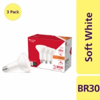 Everyday Living® 9-Watt (65-Watt) BR30 LED Floodlight Bulbs