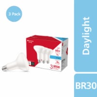 Everyday Living® 9-Watt (65-Watt) BR30 Indoor LED Floodlight Bulbs