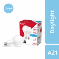 Everyday Living® 12.2-Watt (75-Watt) A21 LED Light Bulbs