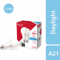 Everyday Living® 16 Watt (100 Watt) A21 Daylight LED Light Bulbs