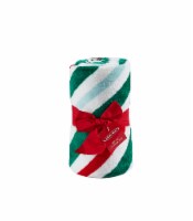Holiday Home® Candy Cane Stripe Microplush Throw Blanket - Bosphorous Perspective: Main