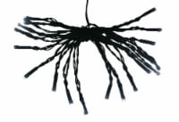 Holiday Home 20 LED String Lights - Cool White Perspective: Main