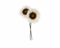 HD Designs Sunflower Decor - Cream