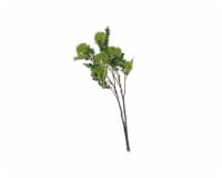 SilkCraft Artificial Sedum Stem - Green Perspective: Main