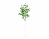 SilkCraft Artificial Olive Branch