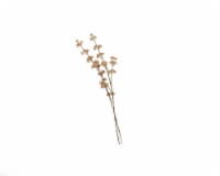 HD Designs Artificial Fruit Seed Branch - Cream Perspective: Main