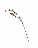 HD Designs Artificial Autumn Pom Pom - Orange
