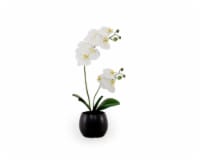 HD Designs Artificial Orchid with Ceramic Vase - Black Perspective: Main