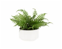 HD Designs Fern in Ceramic Pot - White Perspective: Main