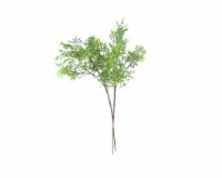 HD Designs Greenery Stem Perspective: Main