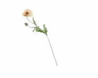 Silkcraft 28 inch Spring Poppy Beige Stem Perspective: Main