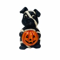 Holiday Home Mummy Dog with Pumpkin Perspective: Main
