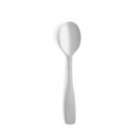Dash of That® Aaron Collection Satin Demi Spoon