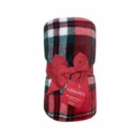 Holiday Home® Christmas Red Plaid Microplush Home