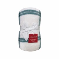Holiday Home® Christmas Microplush Throw Blue Windowpane