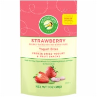 Comforts™ Strawberry Yogurt Bites Perspective: Main