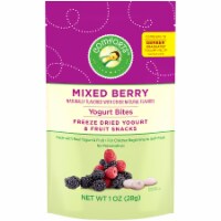 Comforts™ Mixed Berry Yogurt Bites Perspective: Main