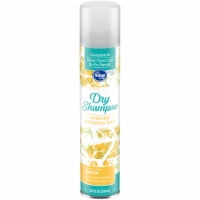 Kroger® Light & Clean Sheer Dry Shampoo