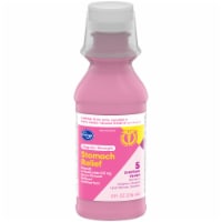 Kroger® Regular Strength Stomach Relief Liquid