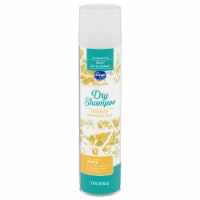Kroger® Light & Clean Dry Shampoo Perspective: Main