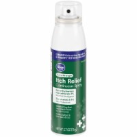 Kroger® Extra Strength Itch Relief Spray Perspective: Main