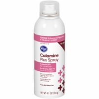Kroger® Calamine Plus Spray Perspective: Main