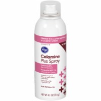 Kroger® Calamine Plus Spray Perspective: Main