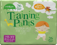 Check This Out … Size 2T-3T Training Pants Perspective: Main