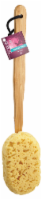 Kroger® Sea Foam Sponge Brush Perspective: Main