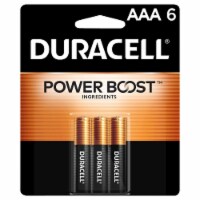 Duracell Coppertop AAA Batteries