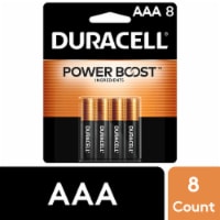 Duracell® Power Boost™ AAA Batteries