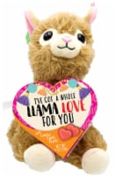 Frankford Llama Plush with Gummy Candy Heart Box Perspective: Main