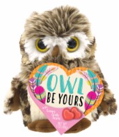 Frankford Owl Plush with Gummy Candy Heart Box Perspective: Main