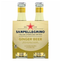 S. Pellegrino Ginger Beer Perspective: Main