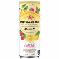 S. Pellegrino® Momenti™ Lemon and Raspberry Flavored Sparkling Water Perspective: Main