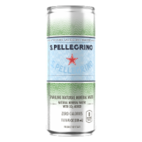 S. Pellegrino Sparkling Natural Mineral Water Perspective: Main