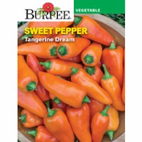 Burpee Sweet Pepper Tangerine Dream Seeds Perspective: Main