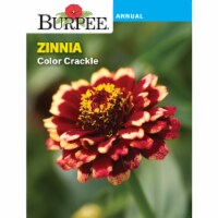 Burpee Color Crackle Zinnia Seeds