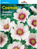 Burpee® Cosmos Summer Dreams Seeds Perspective: Main
