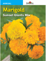 Burpee Sunset Giants Mix Marigold Seeds Perspective: Main