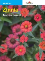 Burpee Zinnia Andes Jewel Seeds Perspective: Main
