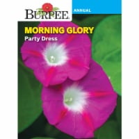 Burpee® Morning Glory Party Dress Seeds Perspective: Main