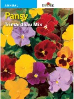 Burpee® Pansy Trimardeau Mix Seeds Perspective: Main