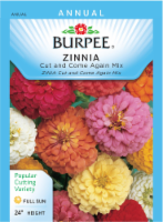 Burpee Zinnia Cut and Come Again Seed Mix - Multi-Color Perspective: Main