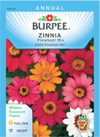 Burpee® Zinnia Pinwheel Seed Mix Perspective: Main
