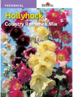 Burpee® Hollyhock Country Romance Mix Seeds Perspective: Main
