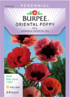 Burpee Poppy Oriental Seed Mix Perspective: Main