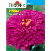 Burpee® Zinnia Purple Prince Seeds Perspective: Main