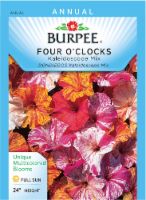 Burpee® Four O'Clock Kaleidoscope Mix Seeds Perspective: Main