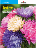 Burpee® Aster Sea Star Mix Seeds Perspective: Main